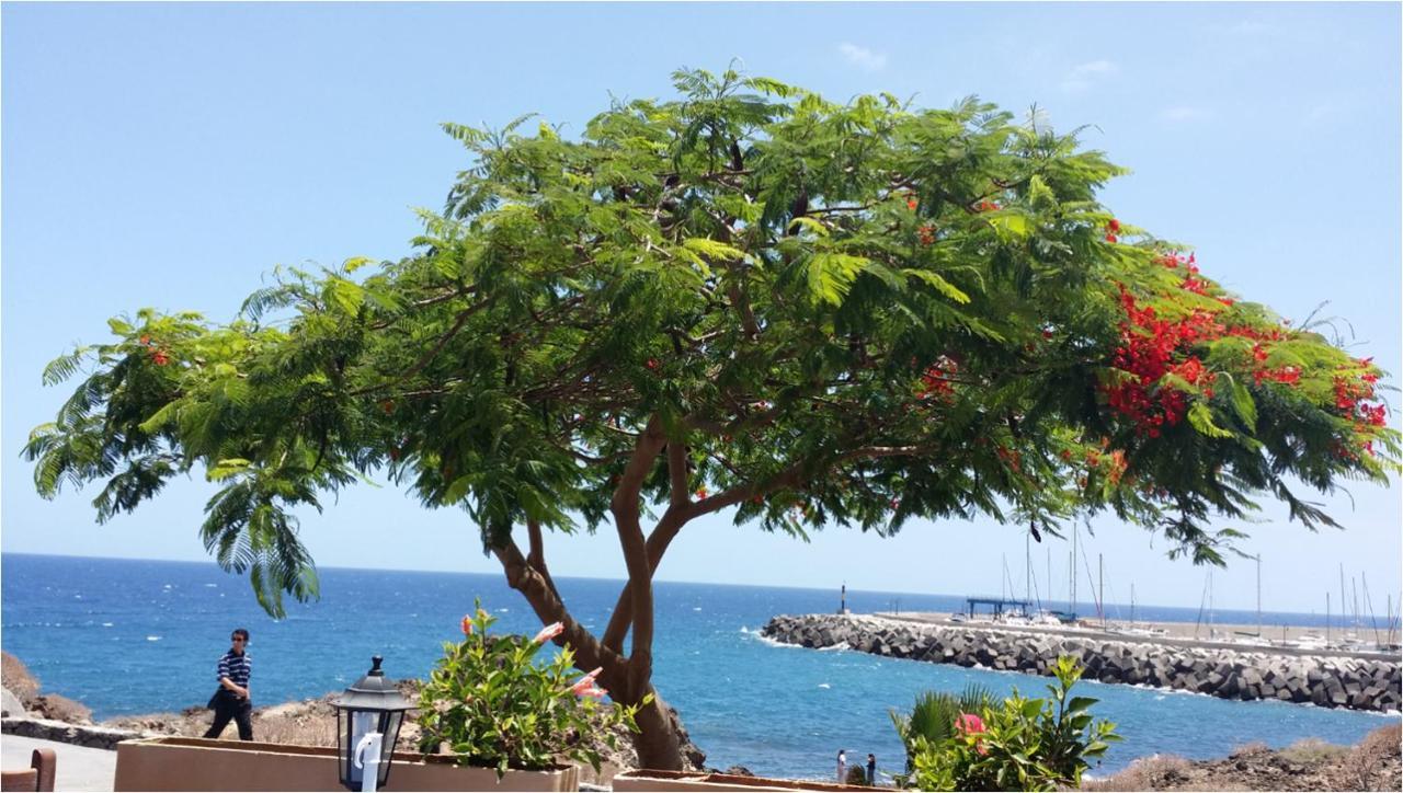 330 - Edf Aguamarina - Vacation Rental Home In The Coast Line Of Golf Del Sur ซานมิเกลเดียโบนา ภายนอก รูปภาพ